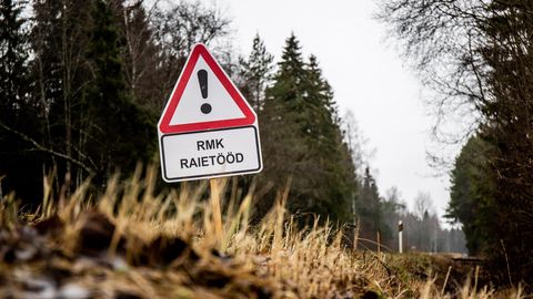 АНАЛИЗ ⟩ Обман? В эстонских лесах значительно меньше древесины, чем утверждает государство