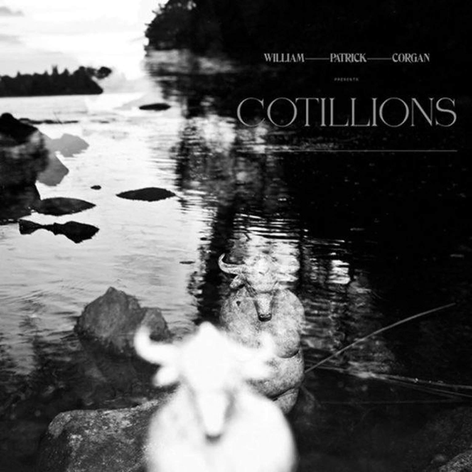 William Patrick Corgan
„Cotillions“