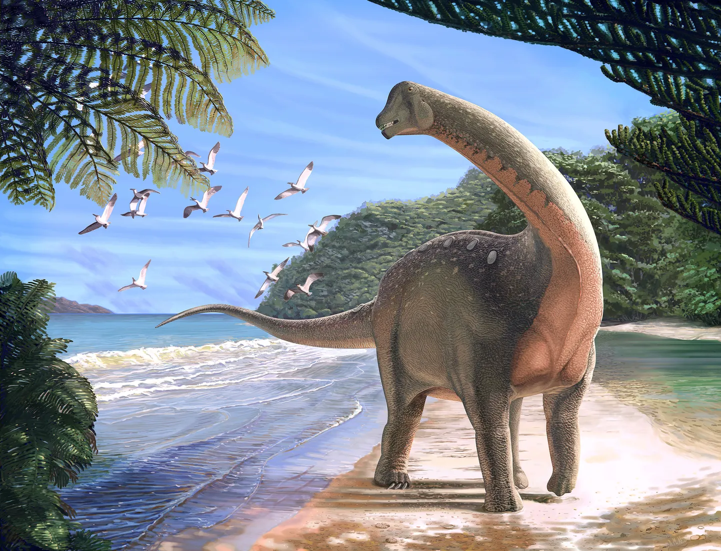 Kunstniku nägemus Mansourasaurus shahinae'st.