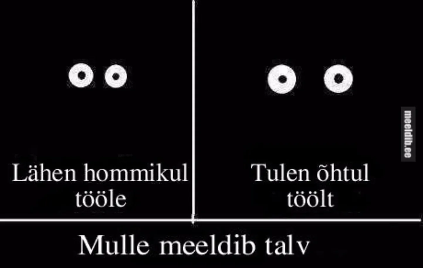 Artikli foto