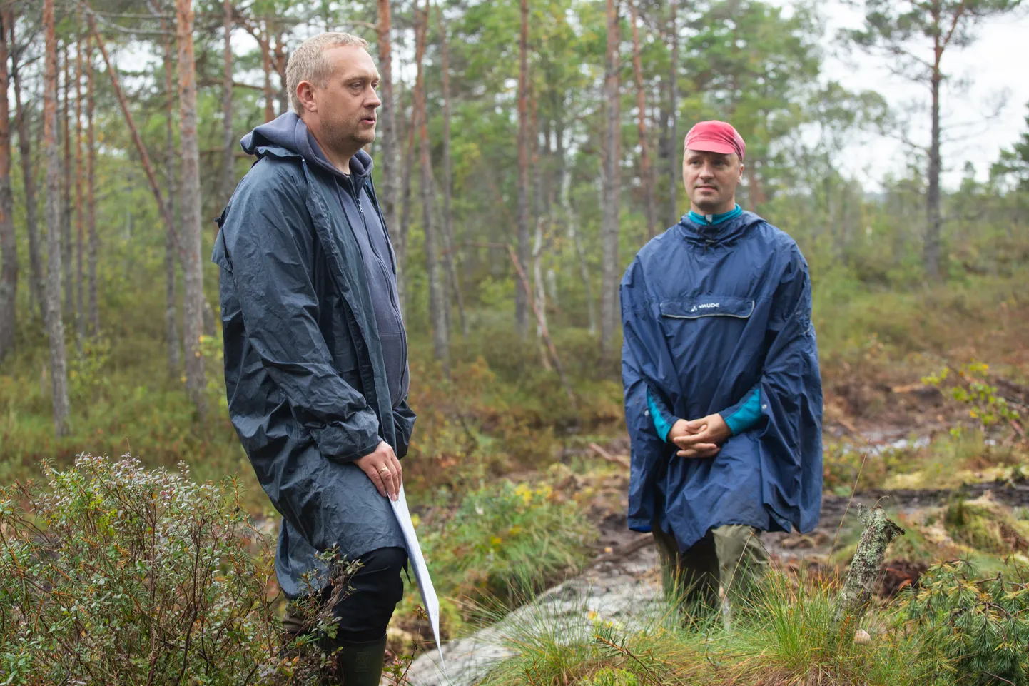 RMK looduskaitsespetsialistid Bert Holm ja Priit Voolaid tutvuvad Koigi rabas tööde käiguga.