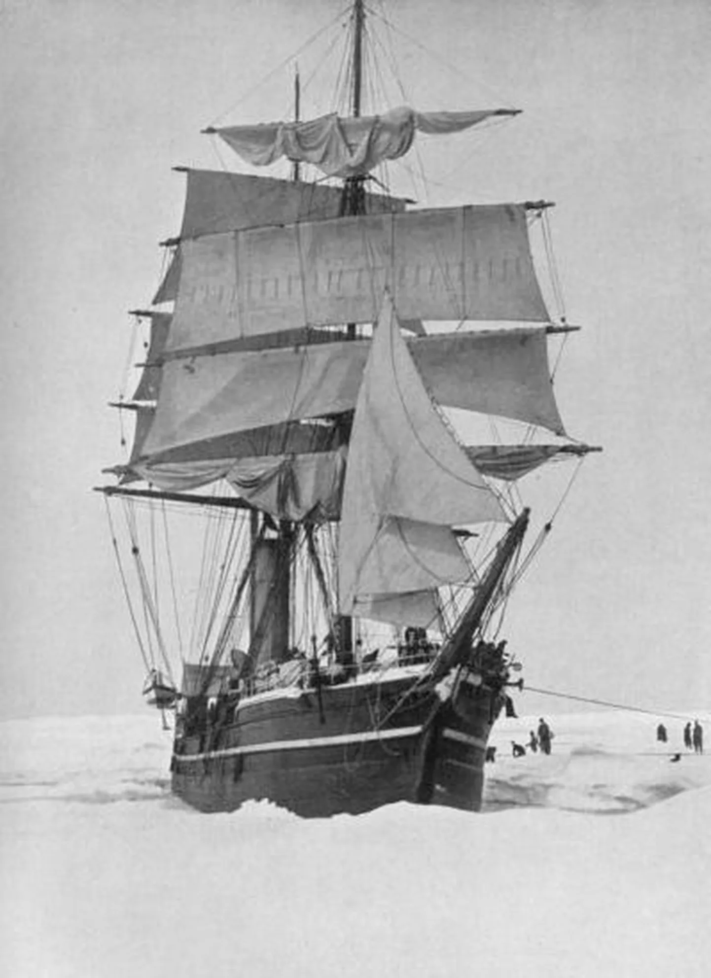 SS Terra Nova