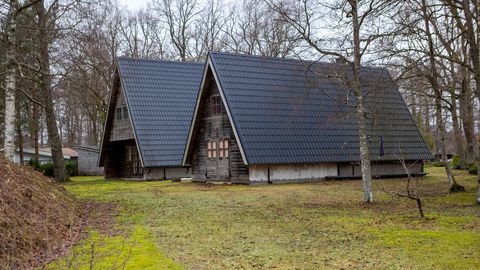 UUED PIIRANGUD ⟩ Saaremaa laienev rohevõrgustik võib piirata nii ehitamist kui lageraiet