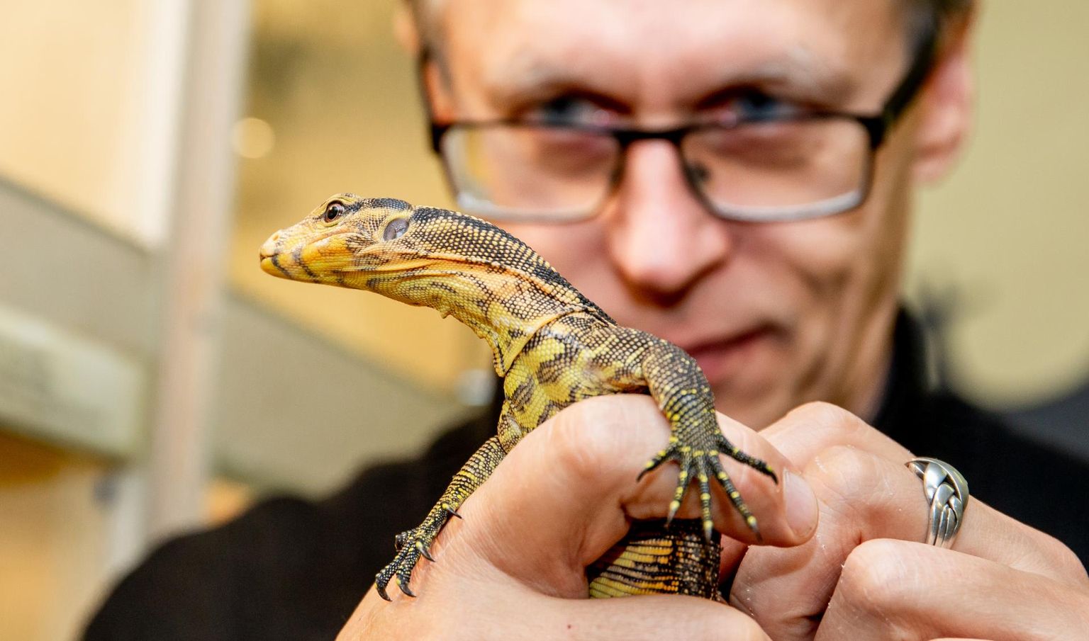 Pärnu minizoo omanik Peeter Põldsam palus hetkegi kõhklemata eksootilise hoolealuse elu päästmiseks veterinaarkirurgide abi.