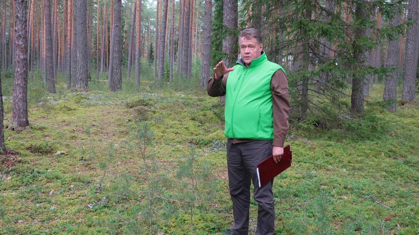 Põlvamaa metskonna metsaülema Tiit Timbergi sõnul on plaanitud raiete eesmärk eemaldada metsatukkadest kuivanud puud.