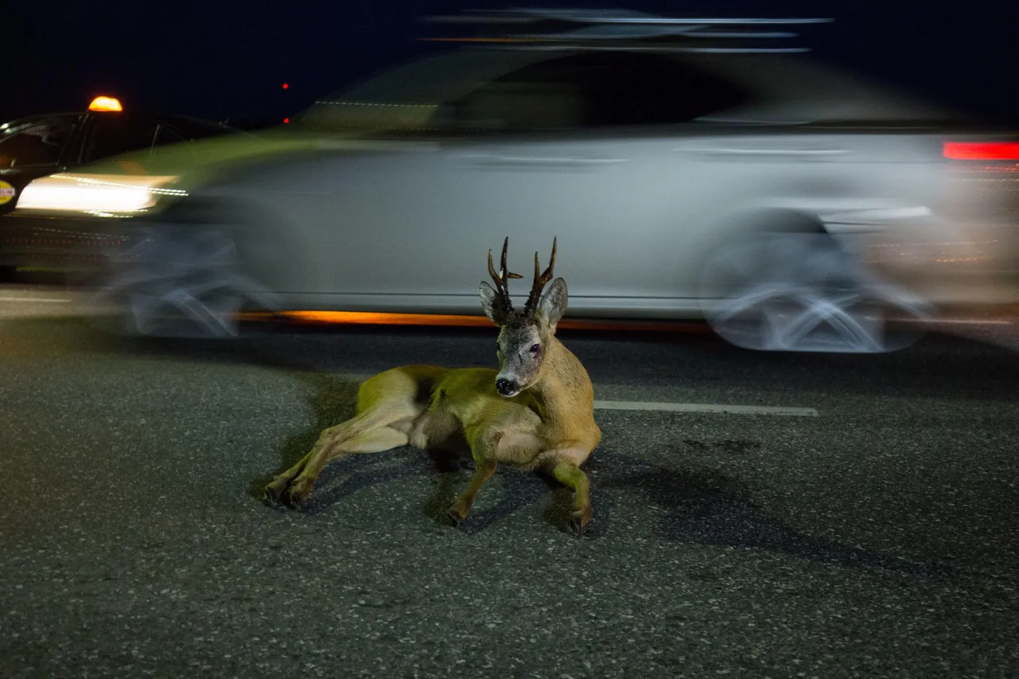 Foto on illustratiivne ja pole kõnealuse sündmusega seotud.
