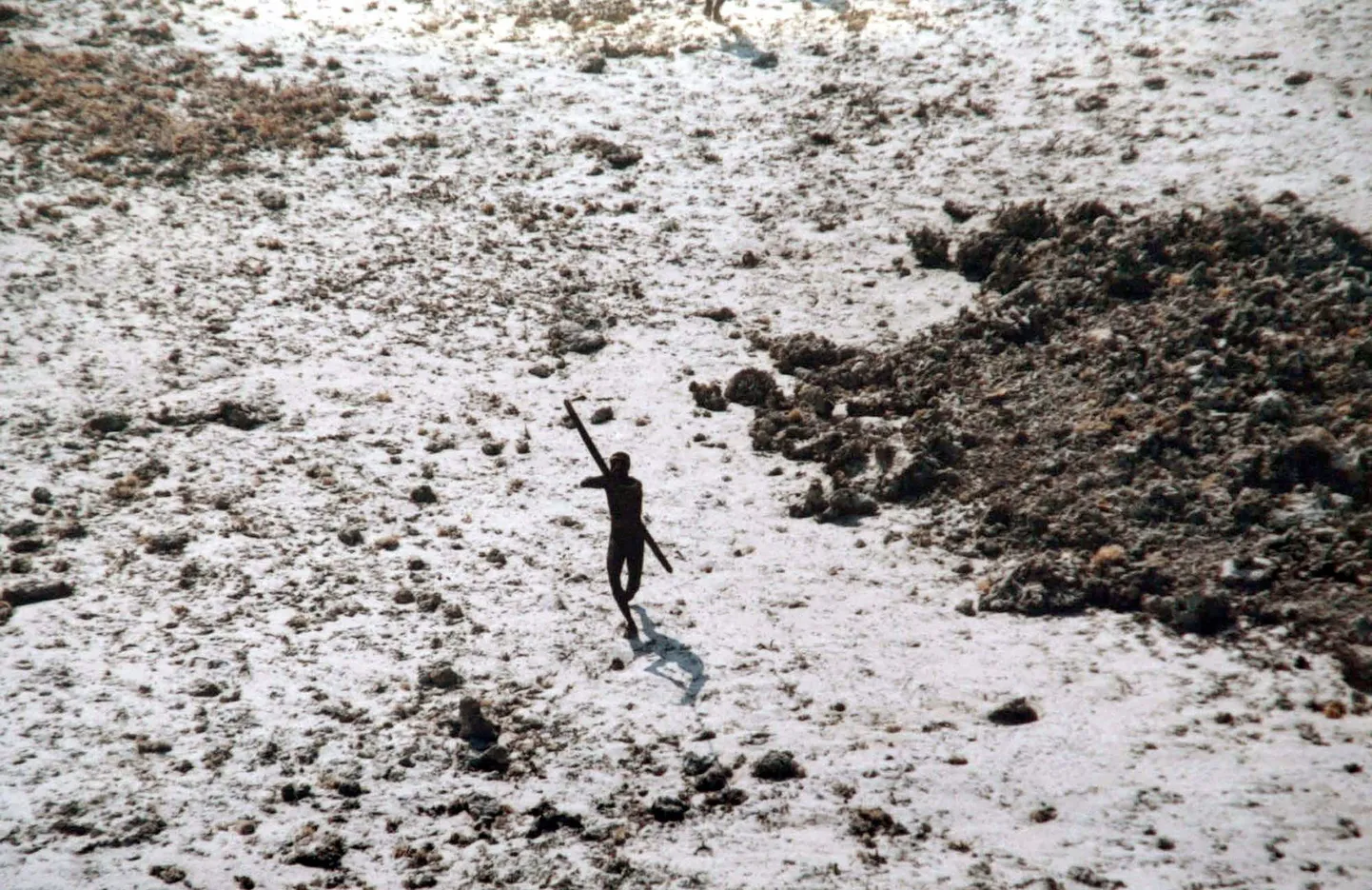 India rannikuvalve kaadrid Põhja-Sentineli saarel elava hõimu liikmest. Foto on pärit 2018. aastast.