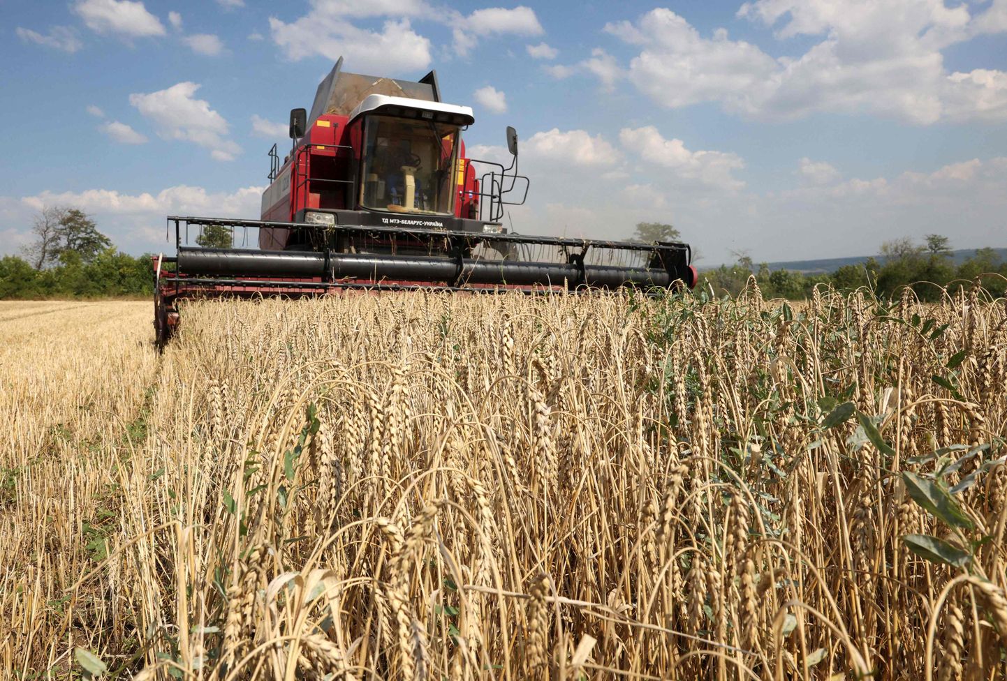Viljalõikus Ukrainas Kramatorskis. ELiga liitudes oleks Kiievil ühtse põllumajanduspoliitika raames õigus saada hinnanguliselt üle 96 miljardi euro toetust.
