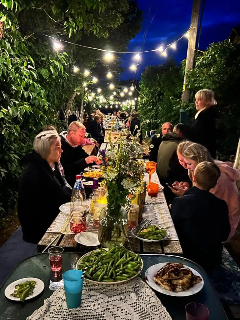 Abruka piknik õhtupimeduses