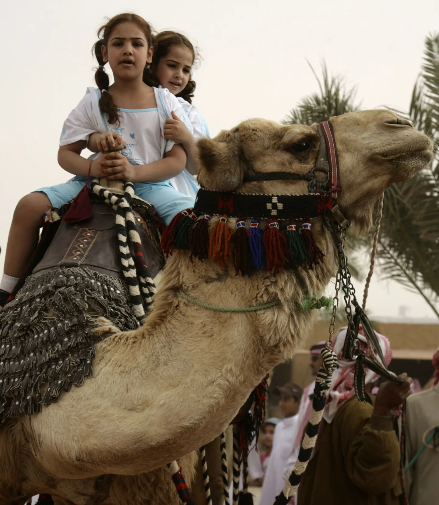 Saudi Araabias nõuab kaheksa-aastane tüdruk abielu lahutamist
