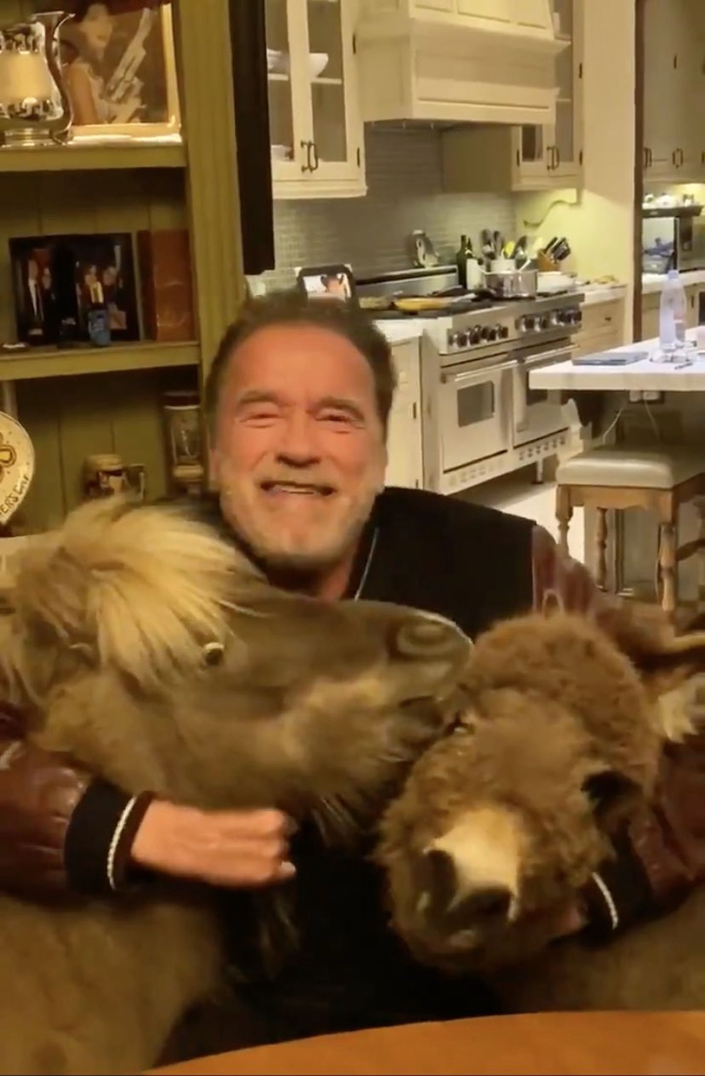 Arnold Schwarzenegger koos oma lemmikloomade eesel Lulu ja poni Whiskey'iga.
