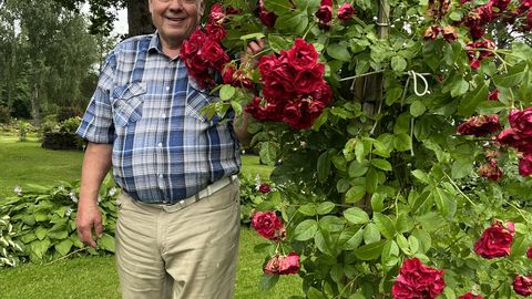 Roosikuningas ei anna alla. Gustav Sinivälja aed on 20 aastaga kasvanud sama visaks kui selle peremees
