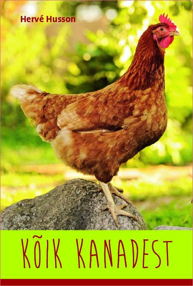 Raamatust „Kõik kanadest” leiab näpunäiteid nii algaja kanakasvataja kui ka aastaid neid sulelisi koduaias pidanud pere.