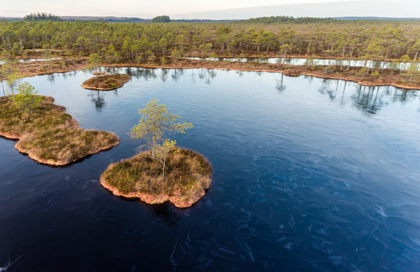 Novembrilõpp tõi Valgamaale Rubina rappa jää.
