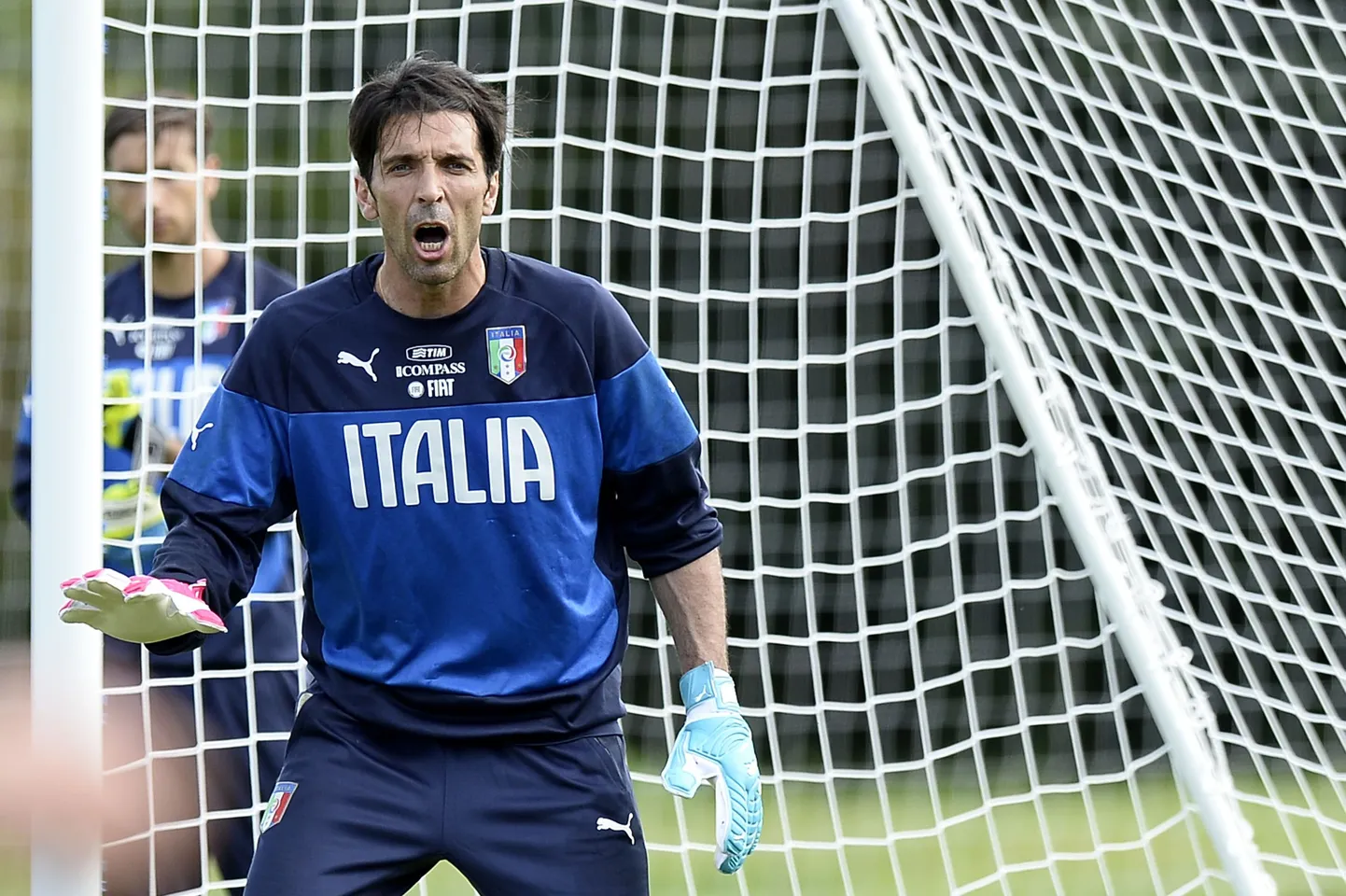 Buffon väravat tõrjumas.