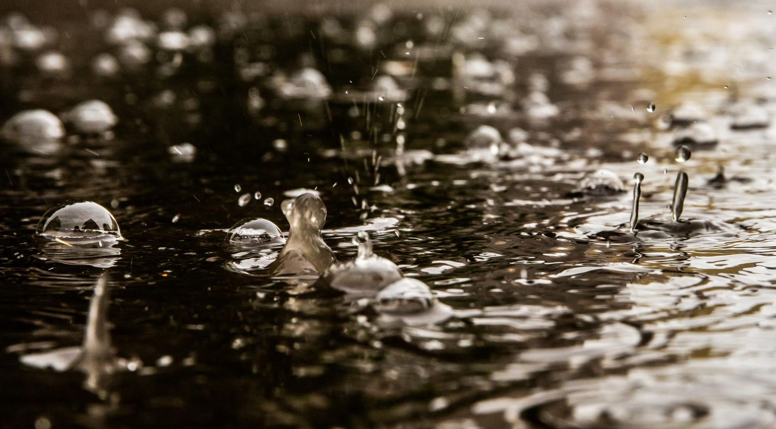 Eesti entsüklopeedia kohaselt on sademed atmosfäärist aluspinnale langev vedel või tahke vesi.