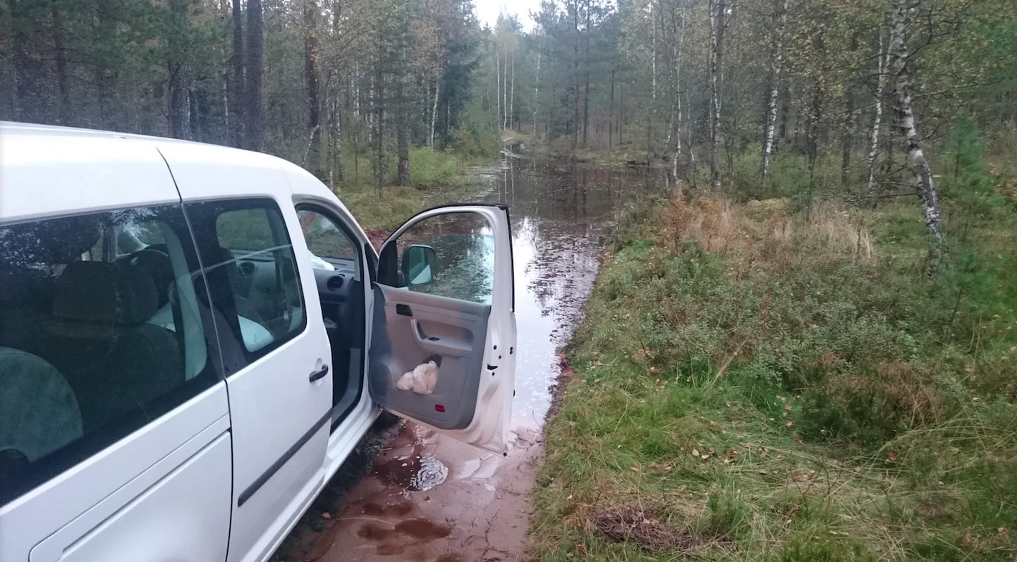 Harjumaal jäi sõiduauto metsavaheteel lompi kinni.