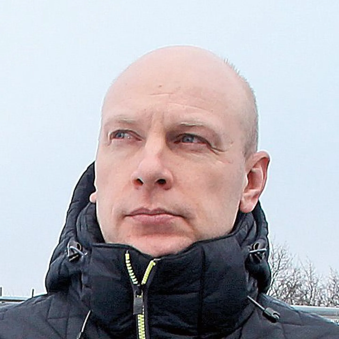 Яано Винк