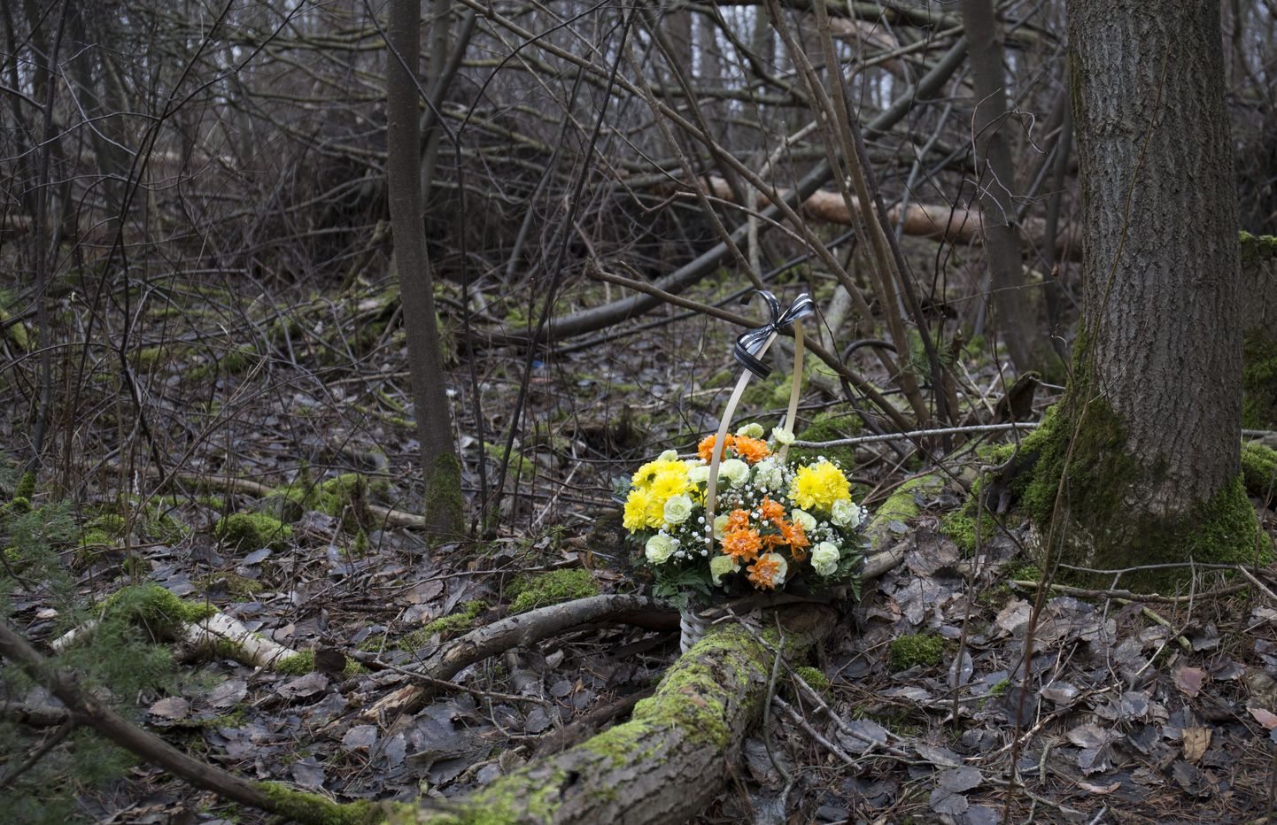 Место, где нашли тело 14-летней Дарьи.