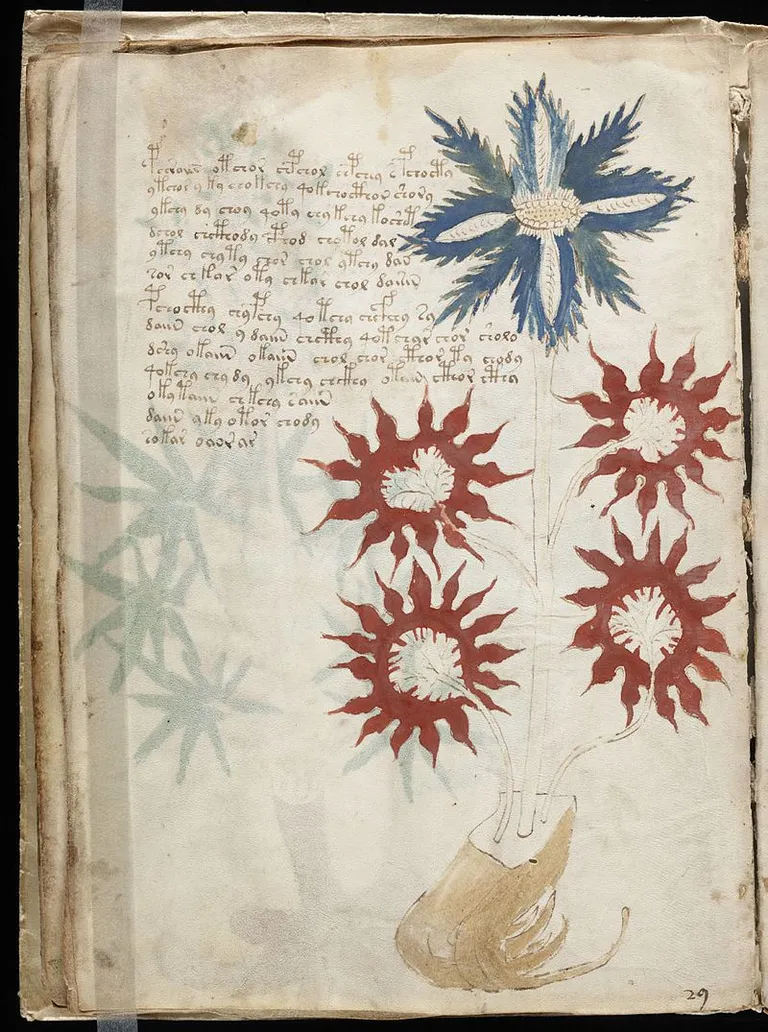 Voynichi käsikiri 15. või 16. sajandist.