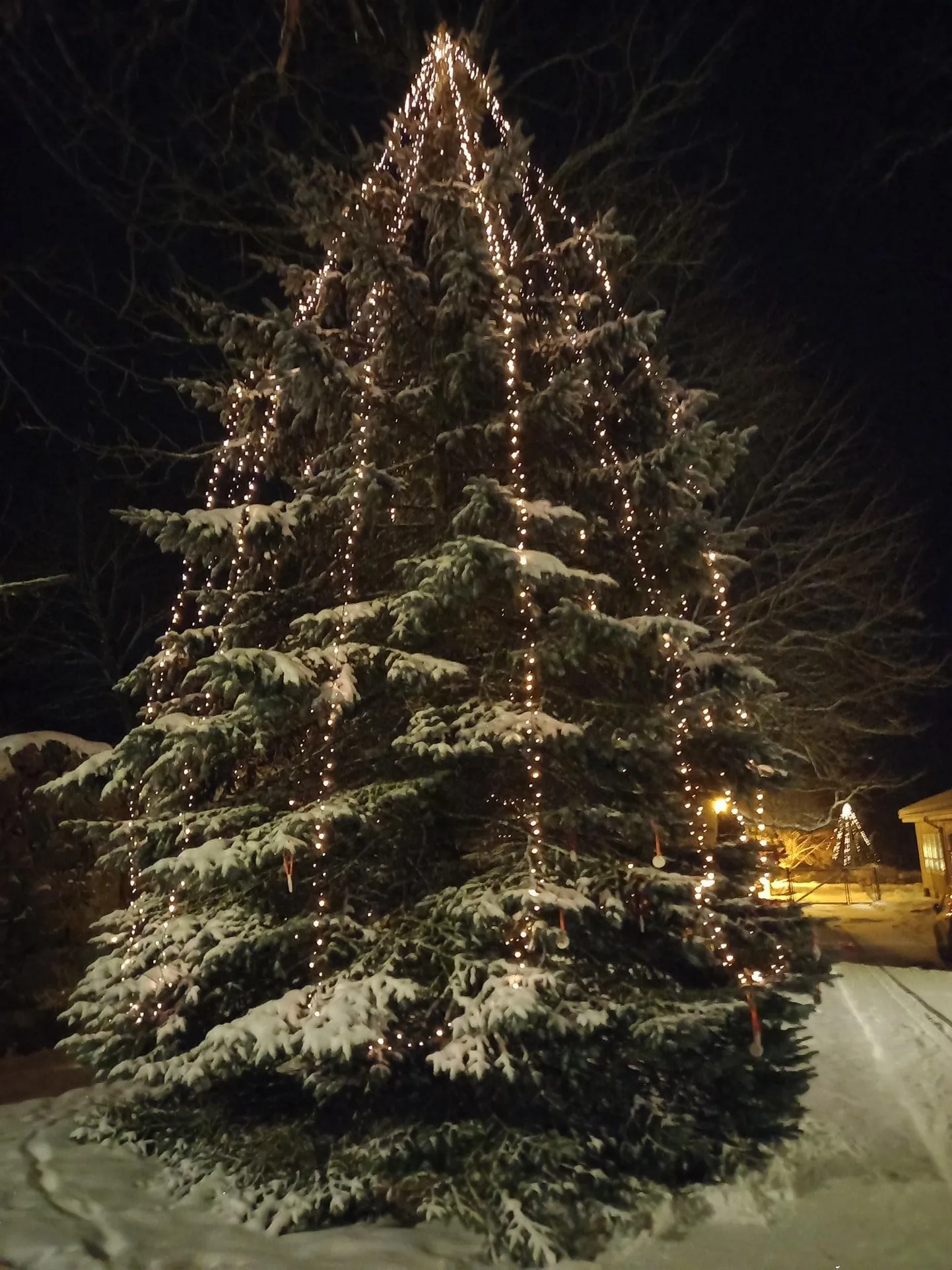Viljandi valla korraldatud jõulusära võistlusel valis rahvas oma lemmikuks Päri jõulupuu.