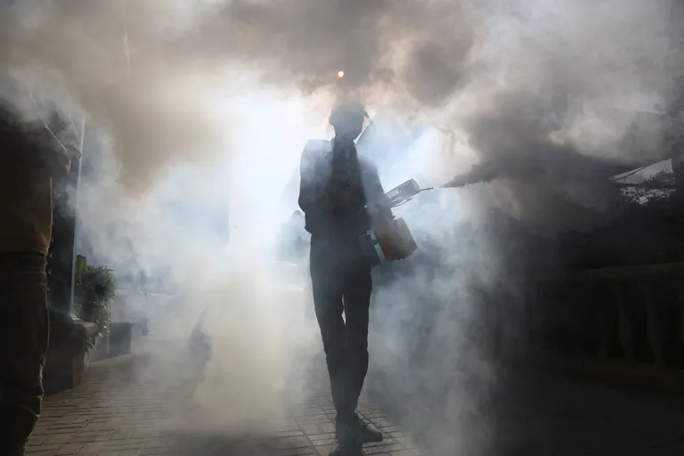 Raksta foto