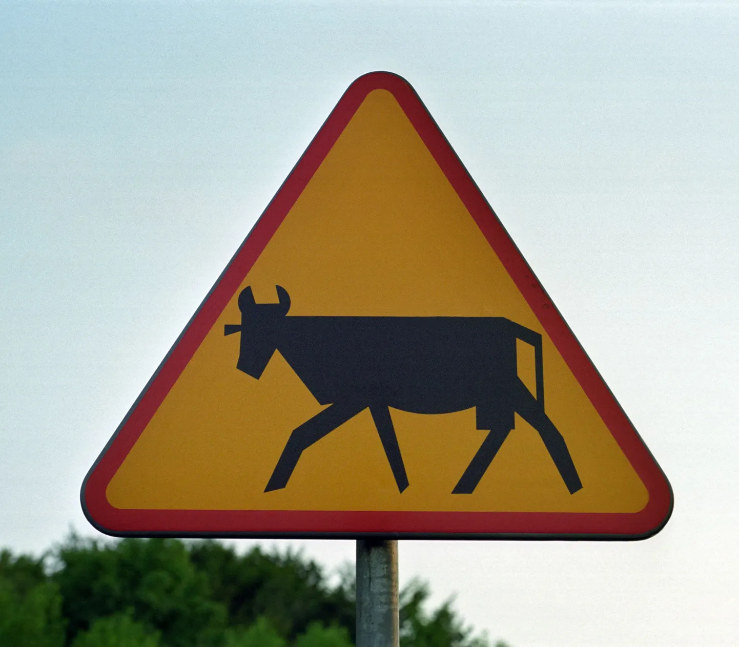 Liiklusmärk "Loomad teel"