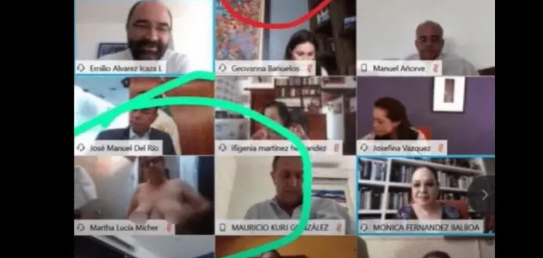 Mehhiko senaator võttis end valitsuse videokõne ajal kogemata paljaks.