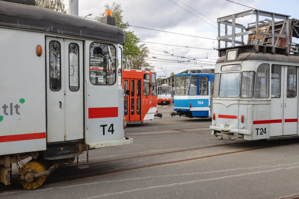 PISARAD SILMIS «Kuradi sitikad, sõna kuulata ei oska!» Tallinlanna ...