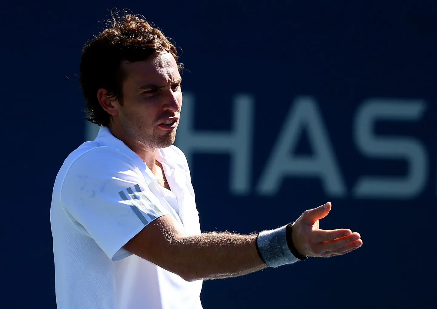 Ernests Gulbis.
