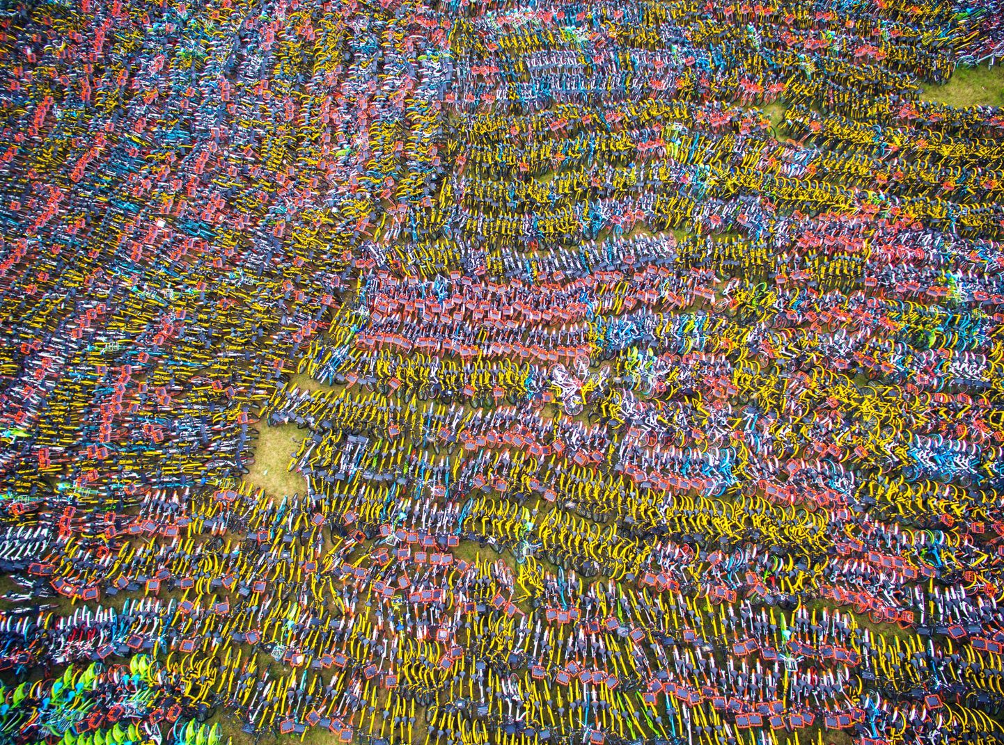 Hiina Hangzhou jalgrataste «surnuaed»