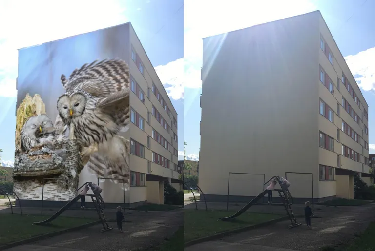 Idee nr 14. Maailma suurim fotogalerii Annelinna majade otsaseintel. Idee on tuua Tartusse maailmakuulus vaatamisväärsus, «meie enda Eiffeli torn». Annelinna kergliikluskiirel on 16 tuhmi otsaseina, mida kasutataks lõuenditena.