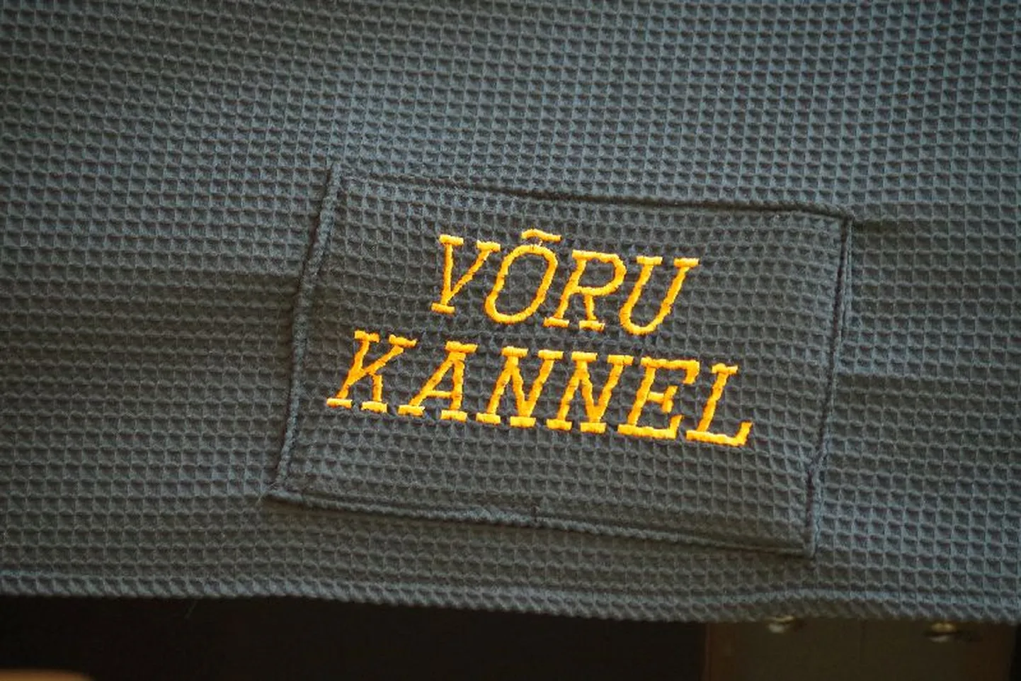 Võru Kannel võõrustab Euroopa filmikohvikut.
