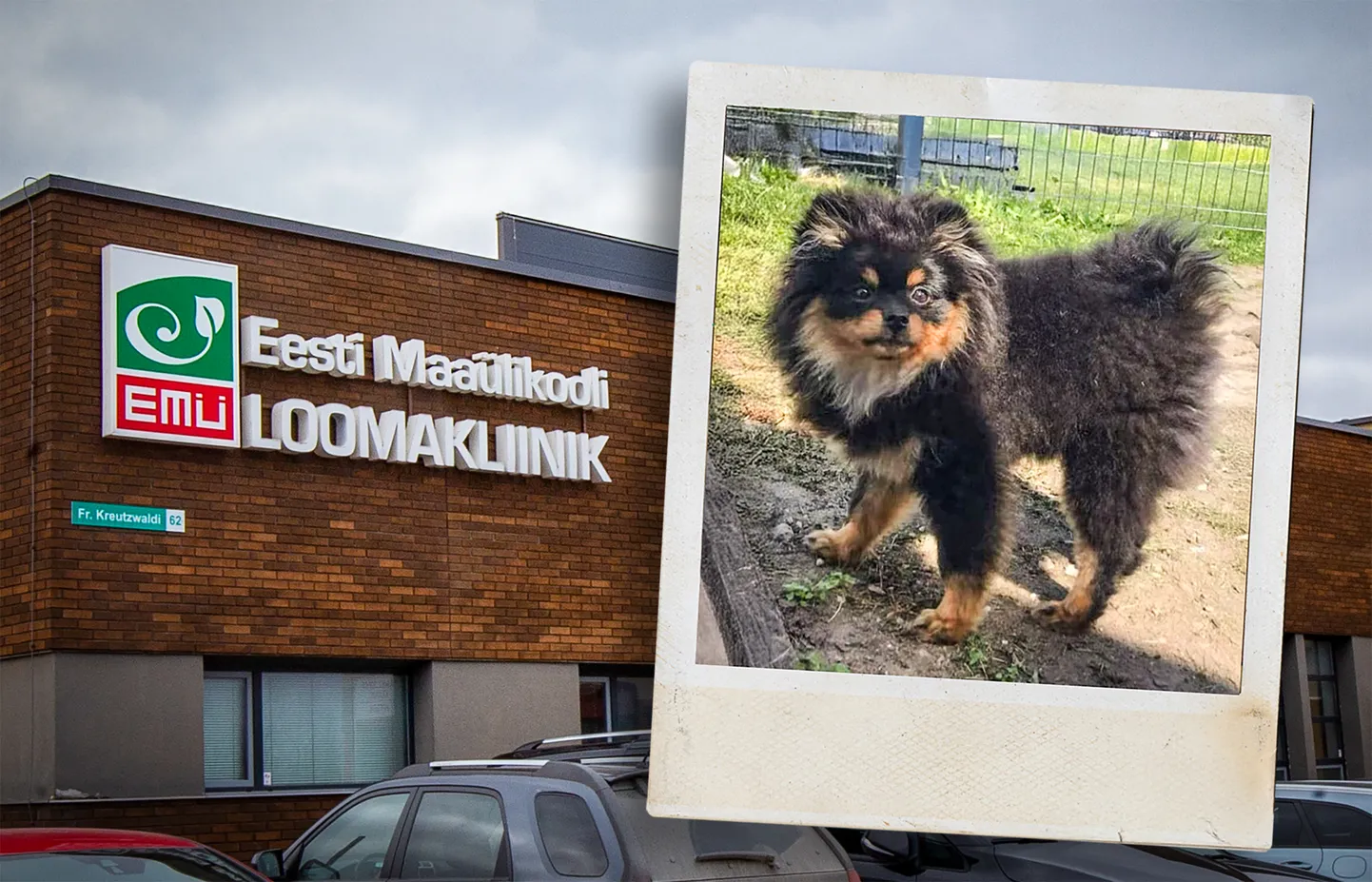 TMÜ loomakliinik.