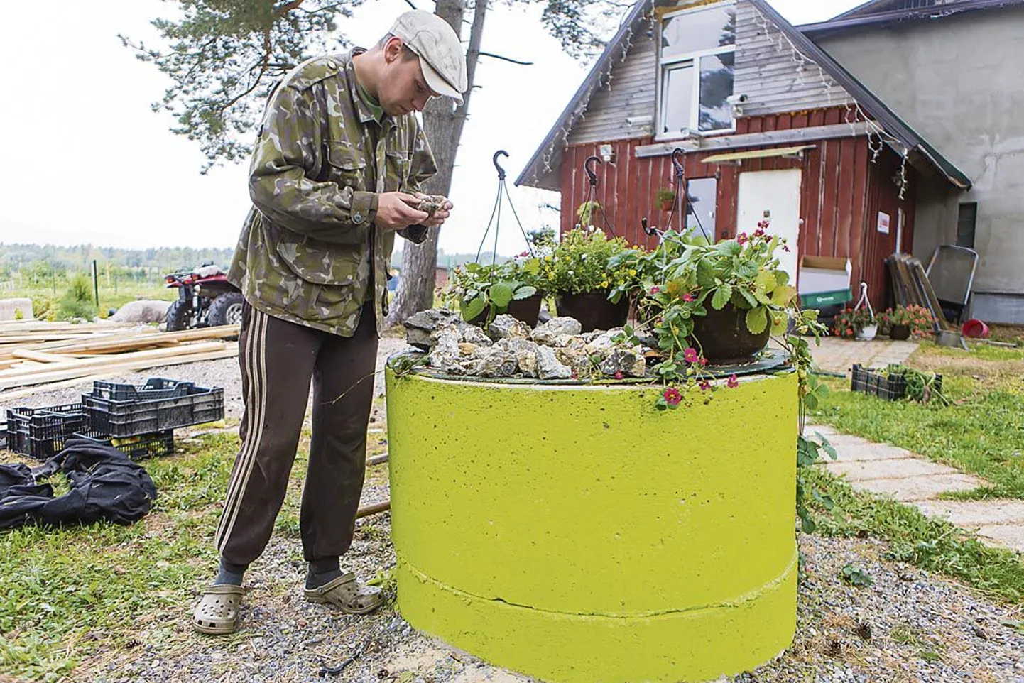 Talupidaja Margus Kajastu tõi kaevu puhastades põhjast välja 300 kilo lubjakivi, mille seest hiljem paljastus mineraal nimega püriit ehk kassikuld.