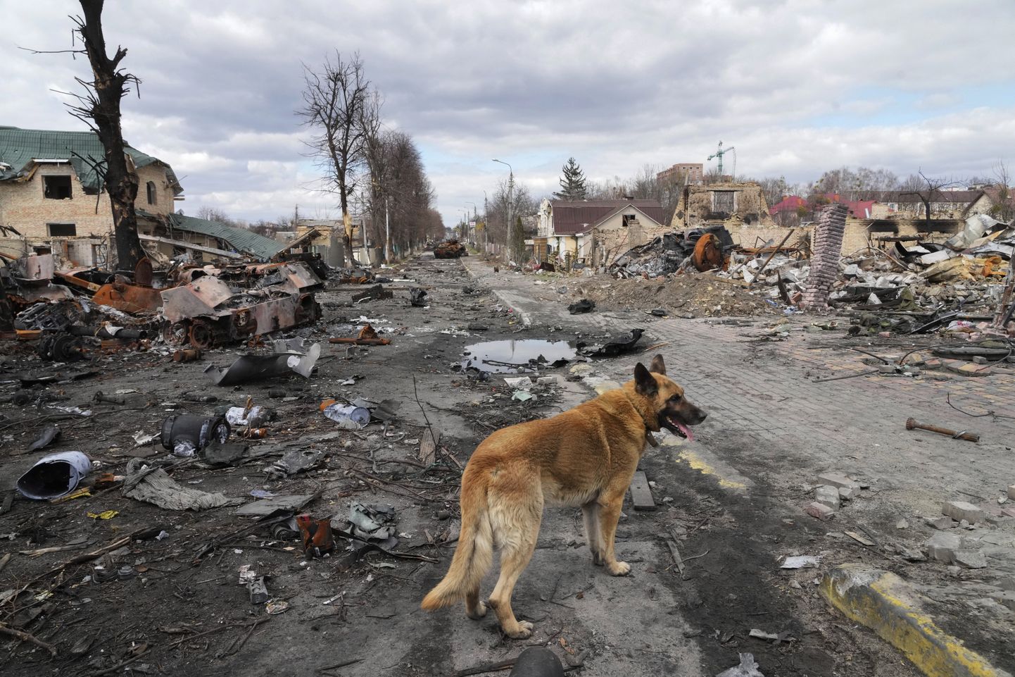 Картина разрушений в украинской Буче.