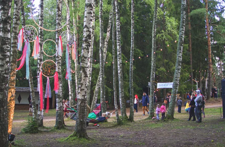Intsikurmuir