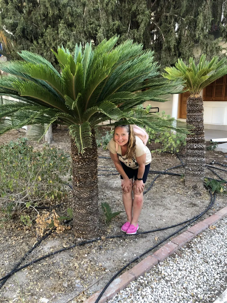 Mõni palm on küll väiksem, aga paraku on pandeemia jätnud kängu ka paljud ettevõtted ja nii kohtas Ave muude äride hulgas hotelle, mis oma hiilgust veel vaid arhitektuuri poolest kiirgavad.