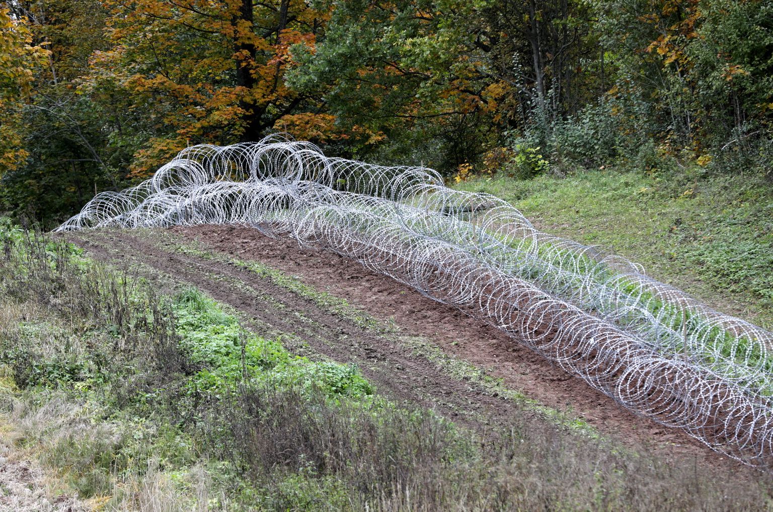 Lai kavētu nelegālo migratnu plūsmu, uz Latvijas-Baltkrievijas robežas uzstādīts Slovēnijas Aizsardzības ministrijas dāvinātais pagaidu žogs.