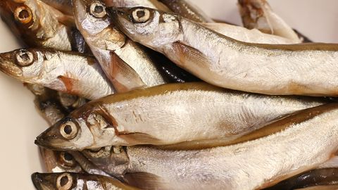 Anekdoot: halvaks läinud kalad