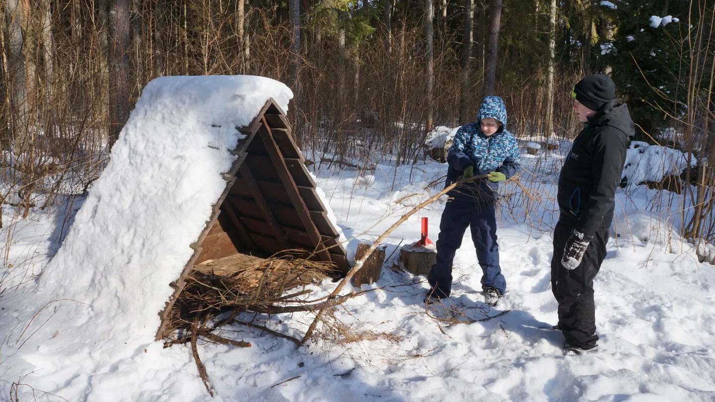 Õpilased metsas kõkkepuid kogumas