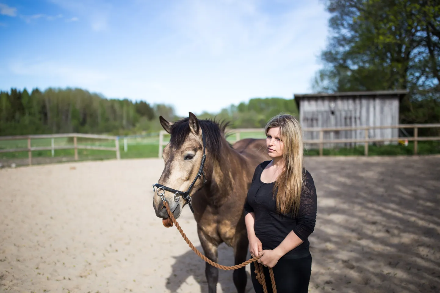 Elerin Innos hobustega, Roosna-Alliku vald, Koordi