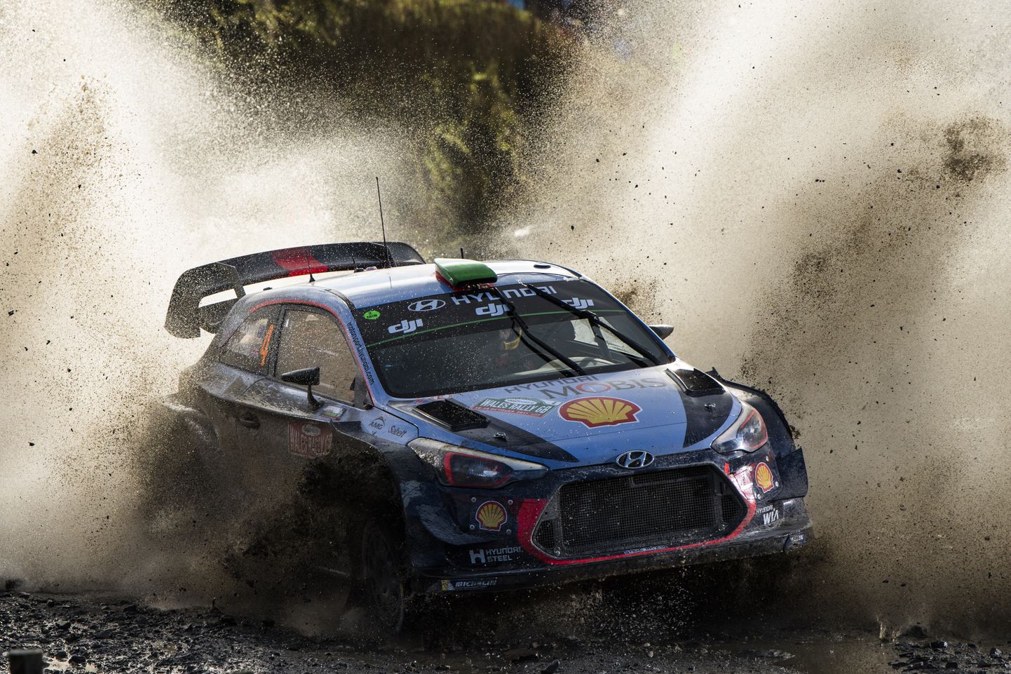 Hayden Paddon stardib Shell Helix Rally Estonial kütuse- ja õlifirma logo kandval Hyundai i20 WRC-masinal