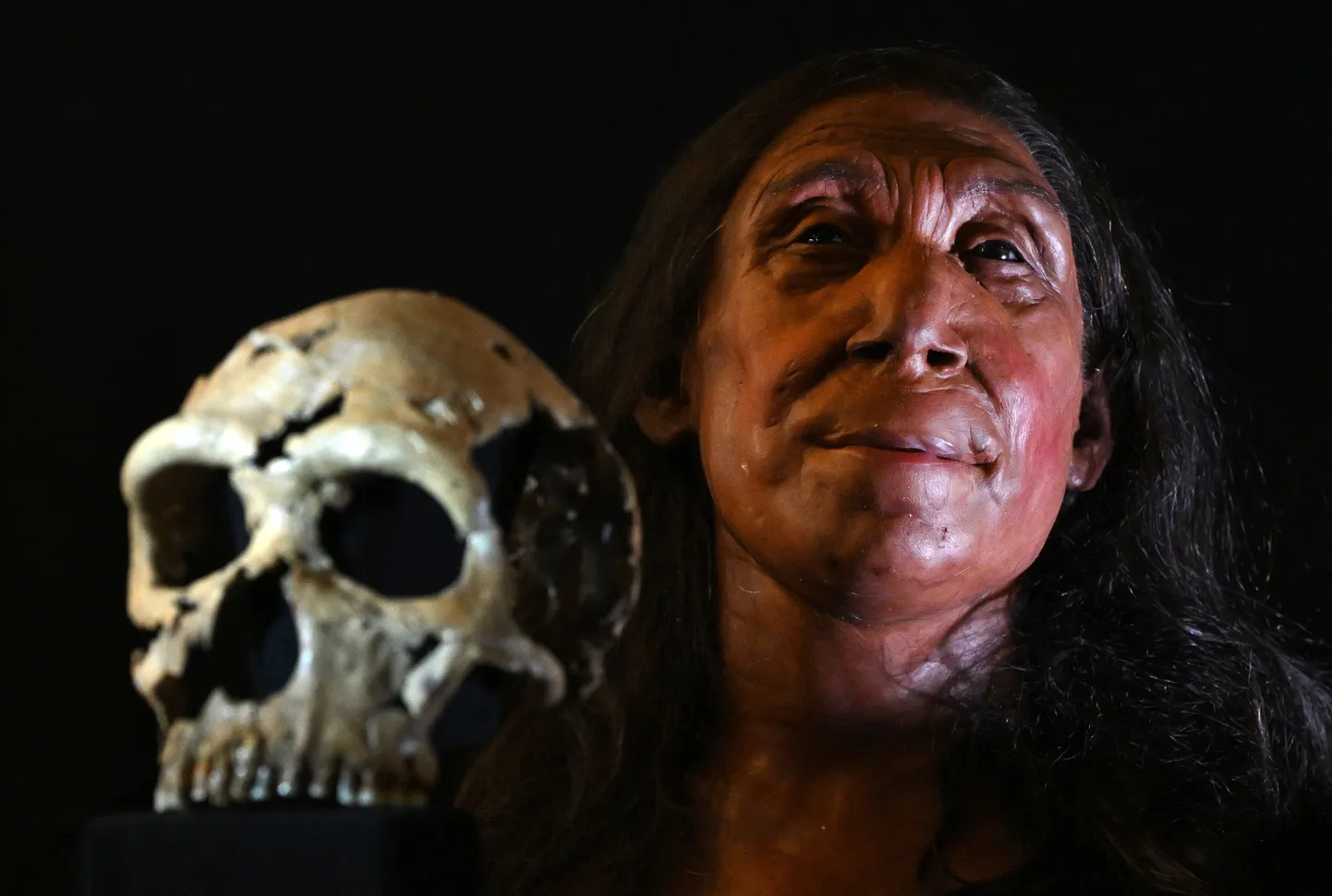 Fotol on näha taastatud koljut ja füüsilist rekonstruktsiooni 75 000-aastase neandertallanna näost ja peast, kellele on koopa järgi, kust ta leiti, antud nimeks Shanidar Z.