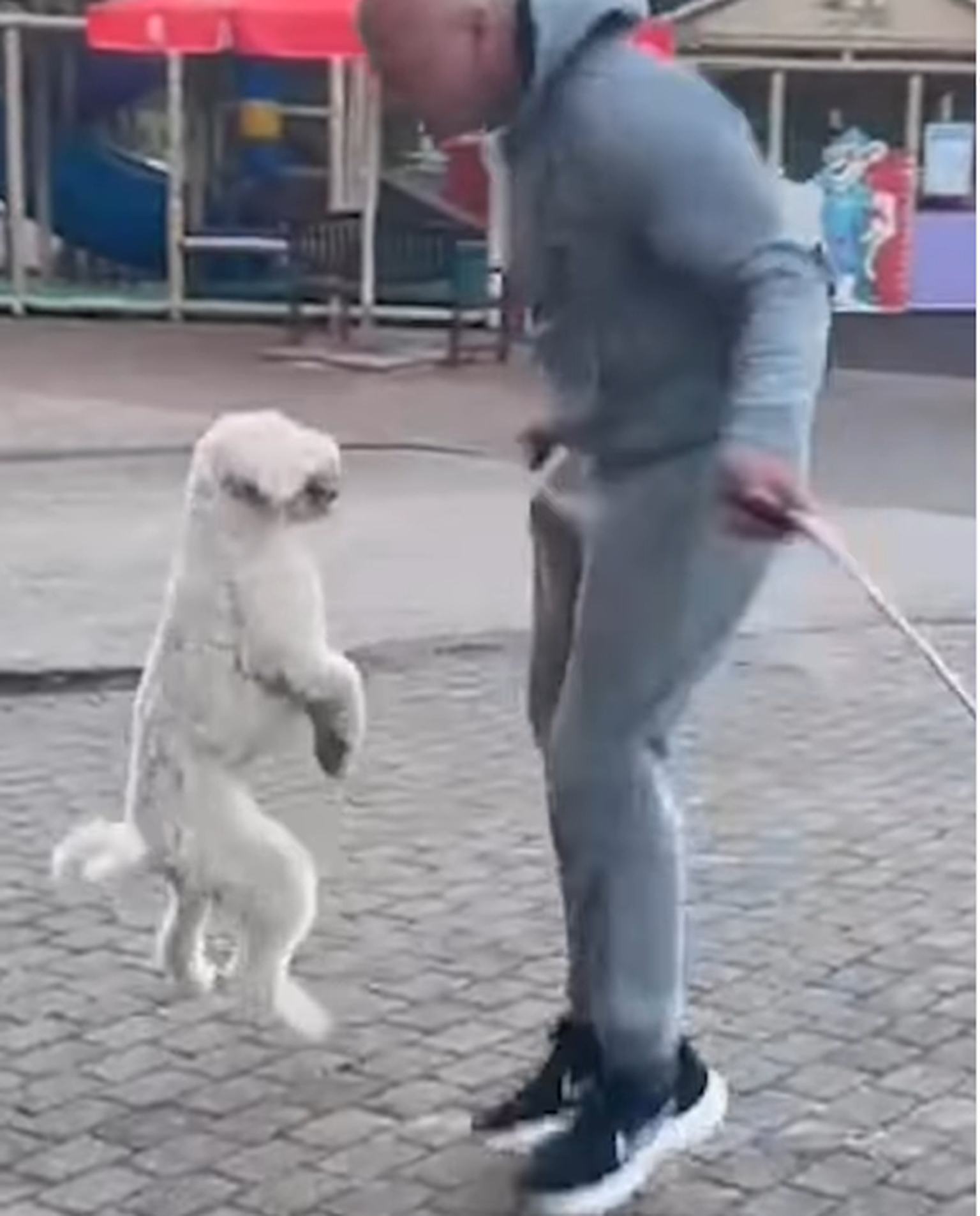 Kas suudad paremini?
