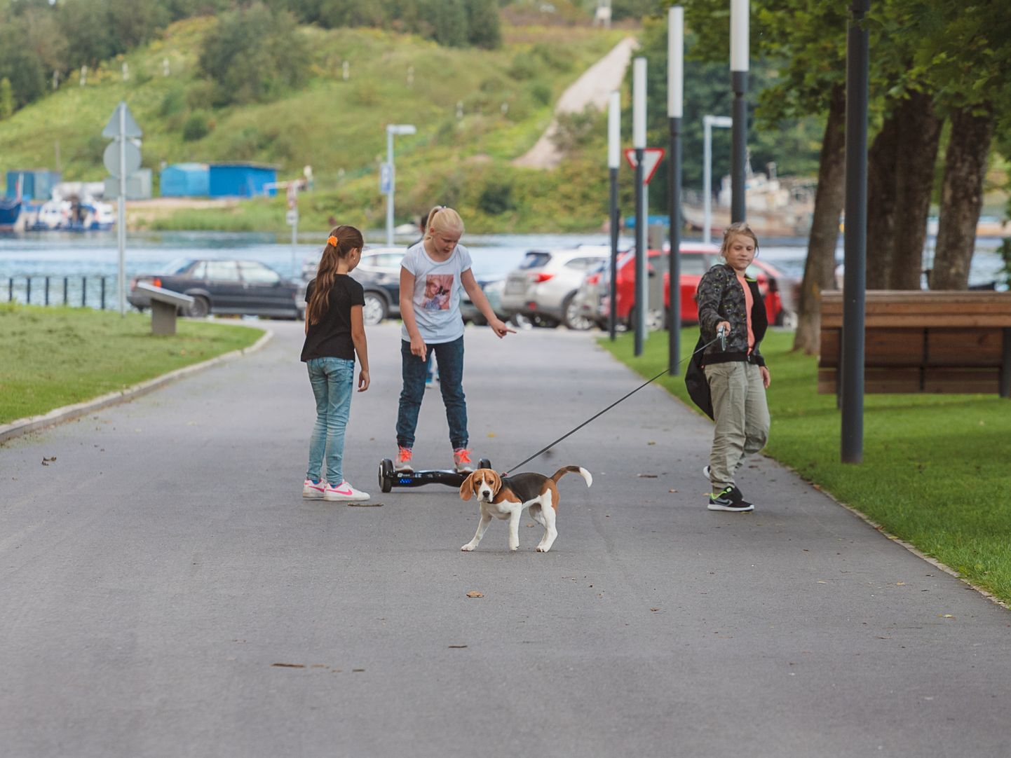 Прогулка с собакой, например, на нарвском променаде будет требовать выполнения новых условий, касающихся, в частности, длины поводка.