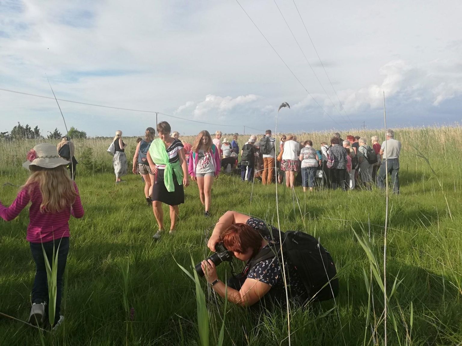 Laelatu puisniidul tänati “Eesti otsib nurmenukke” algatuses osalenud usinaid vaatlejaid, tutvustati tulemusi ja toimus loodusretk õierohkele puisniidule.