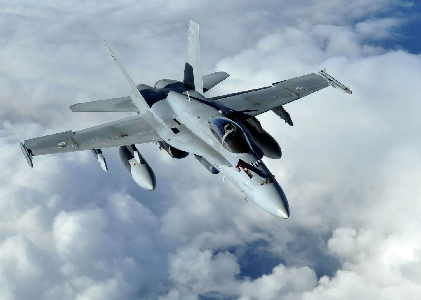 Ostutehing Soome õhuvägede praeguse 64 F/A-18-tüüpi hävitaja muretsemiseks  tehti 1992. aastal, valmis ehitati need järgneva kümne aasta jooksul.