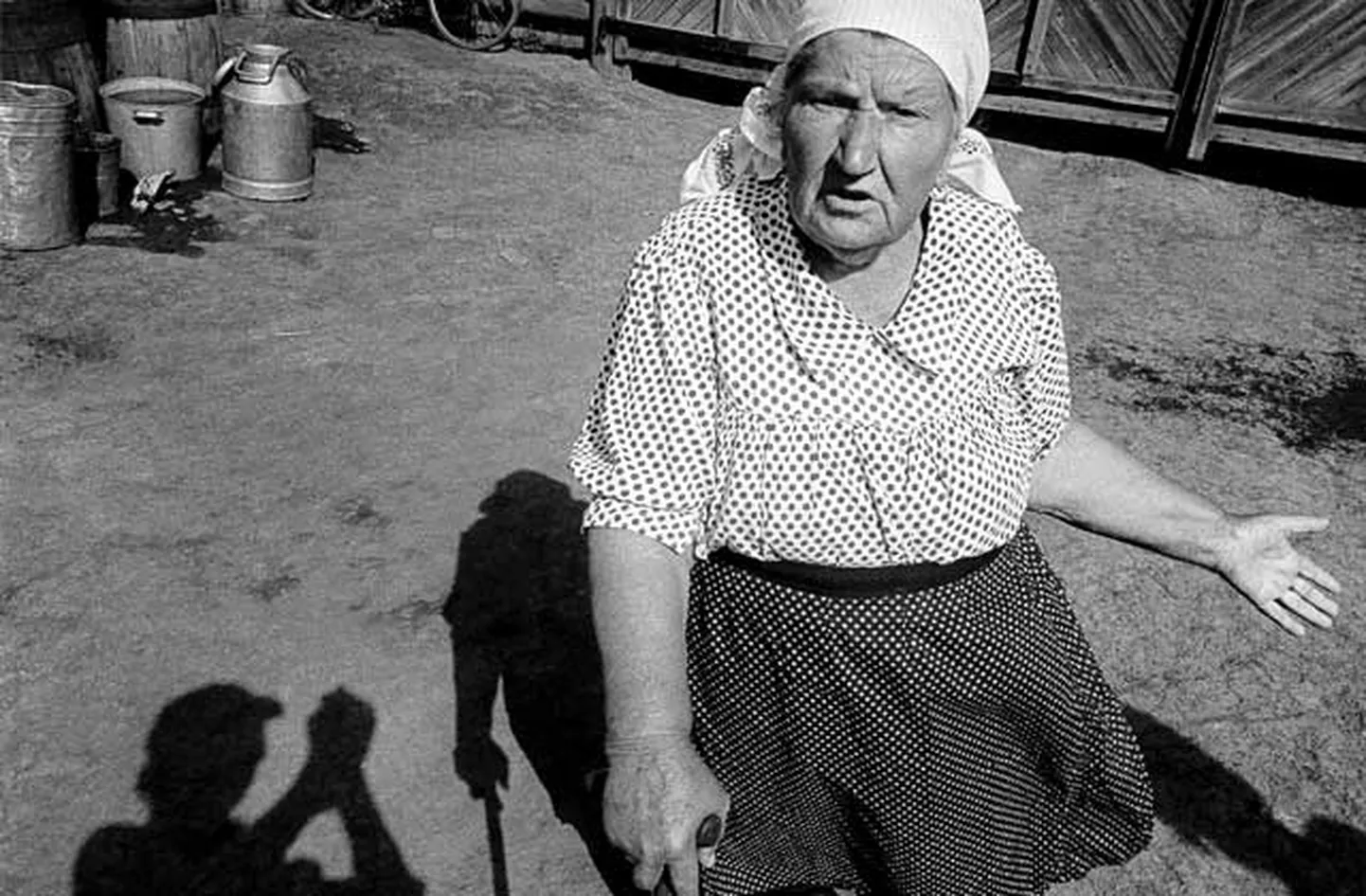 Raksta foto