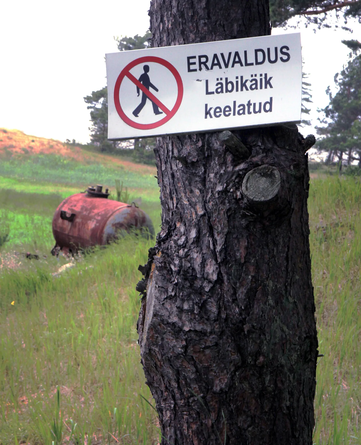 Pilt on illustreeriv.